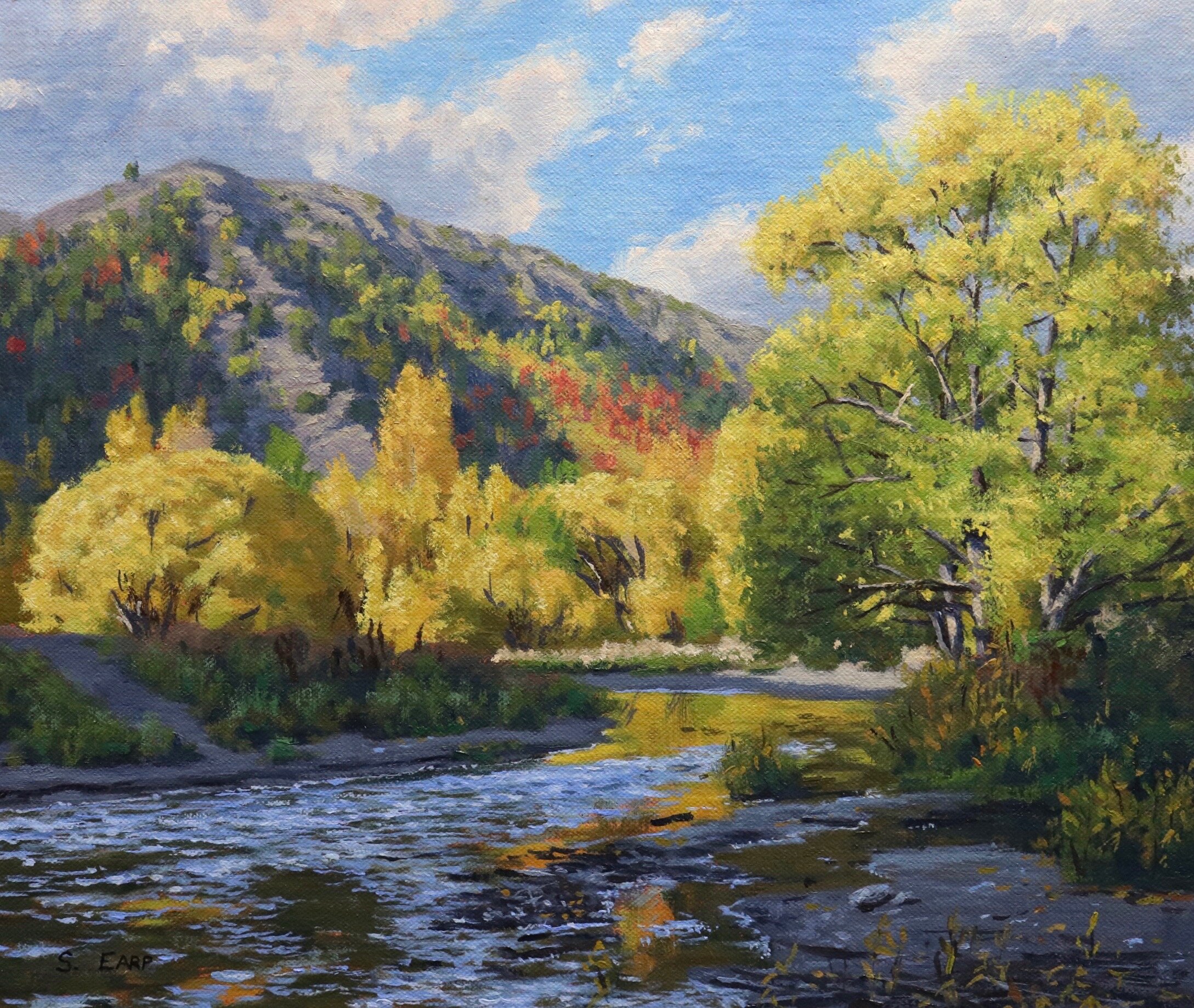 Autumn Trees - Arrowtown - oil painting - Samuel Earp Landscape Artist.jpeg