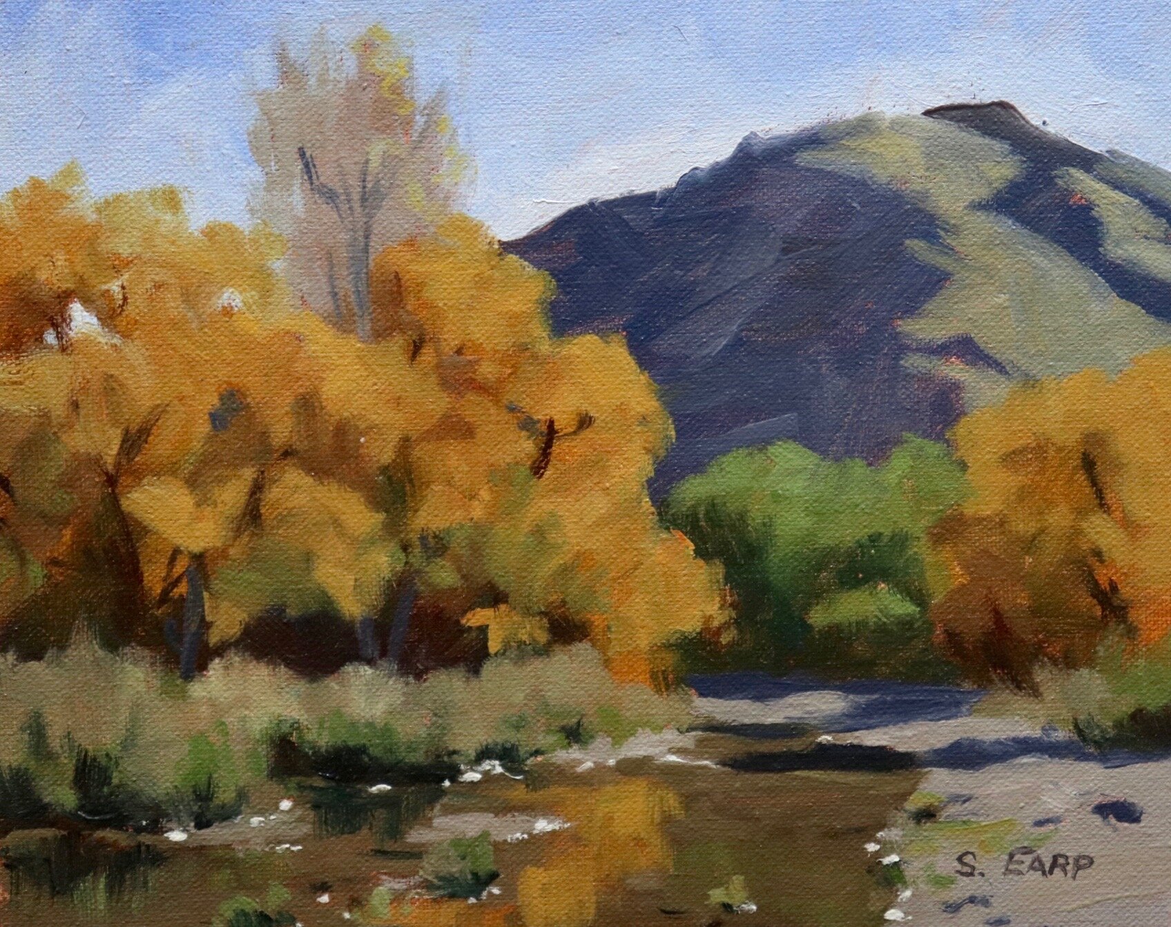 Autumn Willow Trees - Arrowtown - plein air - Samuel Earp.jpeg