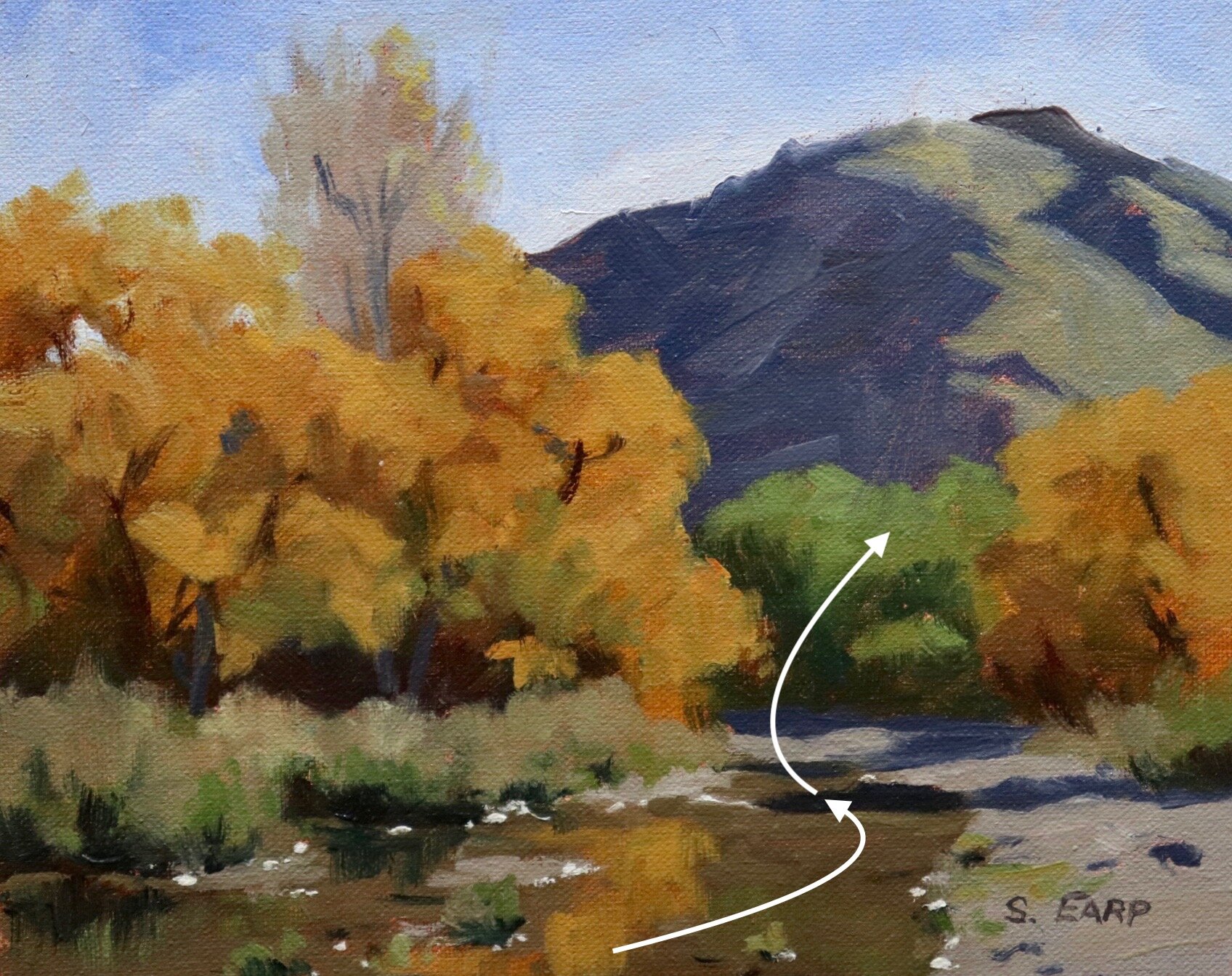 Autumn Willow Trees - Arrowtown - plein air - Samuel Earp copy.jpeg