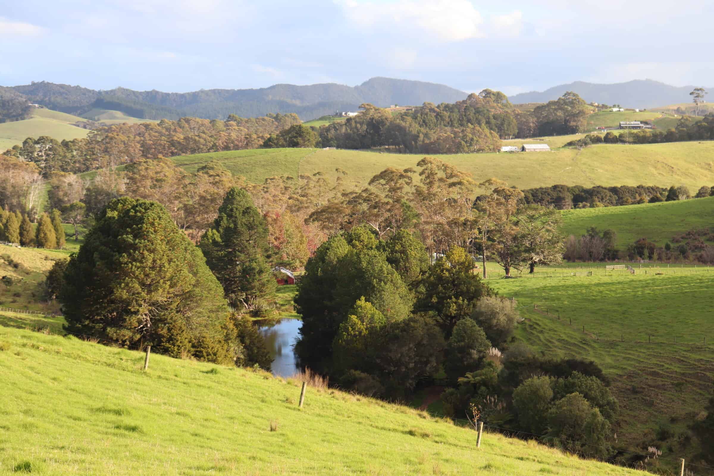 IMG_0629.jpg