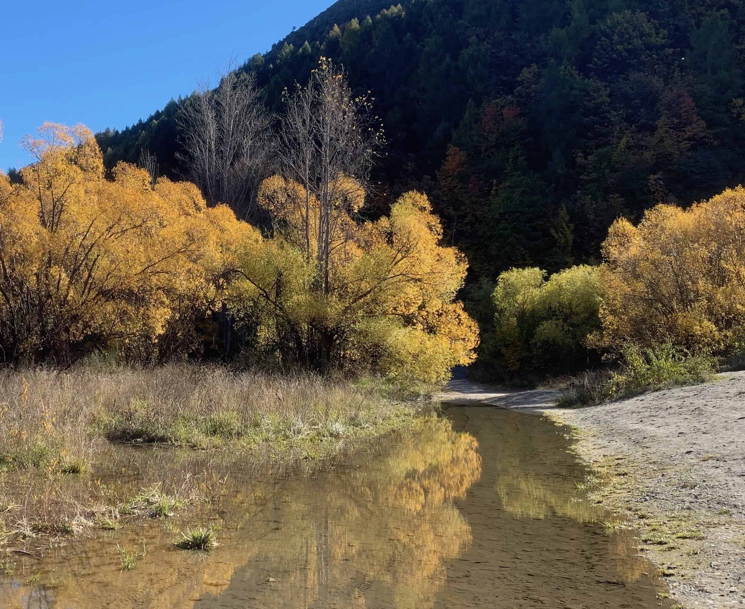 IMG_4139 2 copy.jpeg