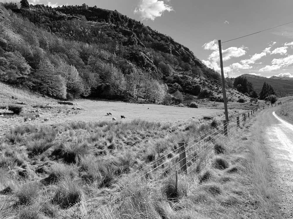 IMG_4166 copy 3.jpeg