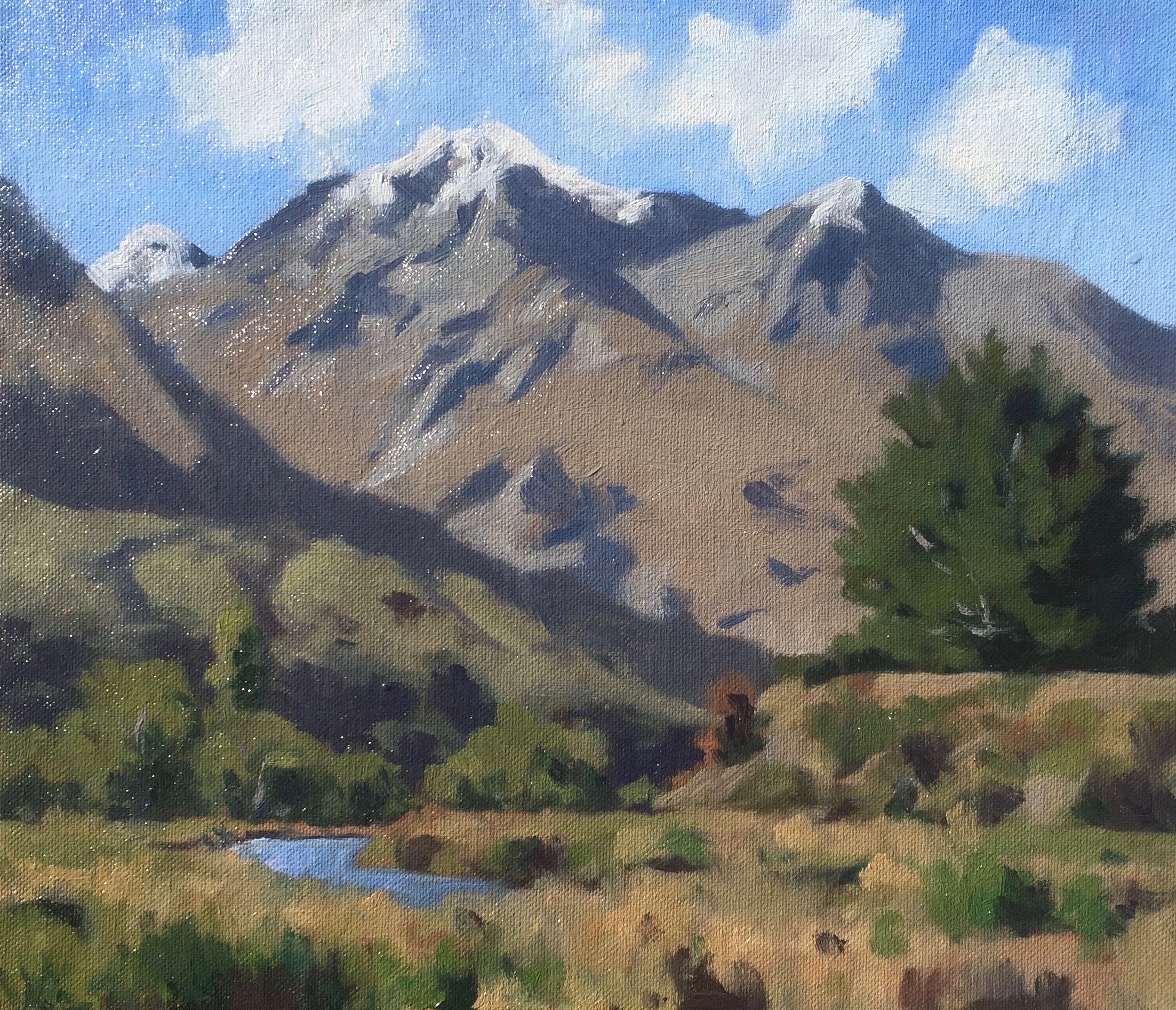 Mt Alaska - Samuel Earp - oil painting - plein air.jpg