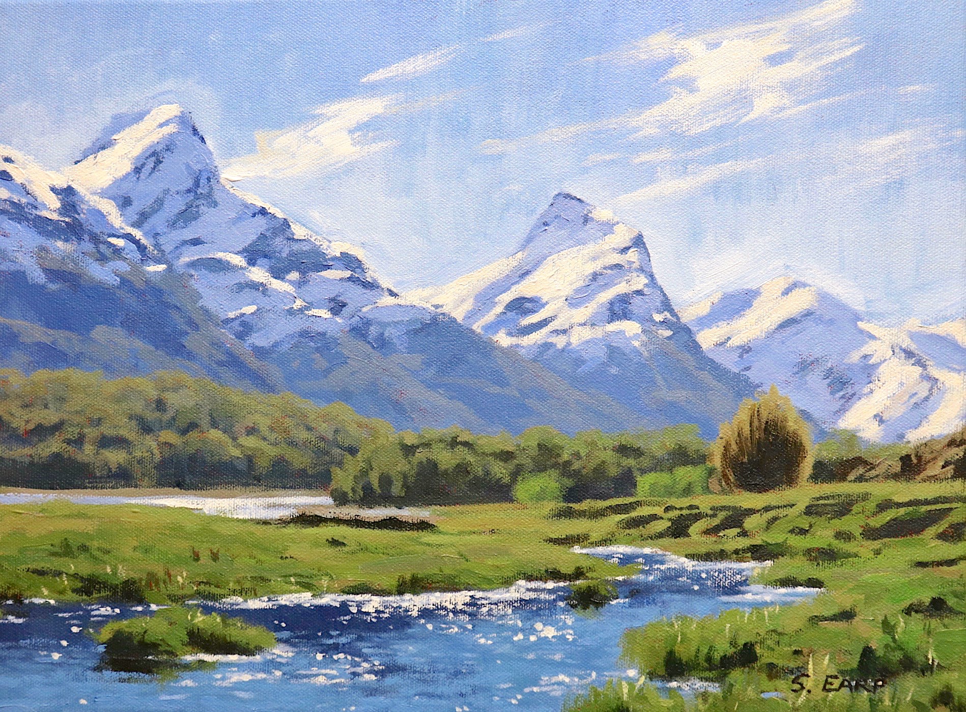 Paradise - New Zealand - acrylic painting - Samuel Earp.jpeg