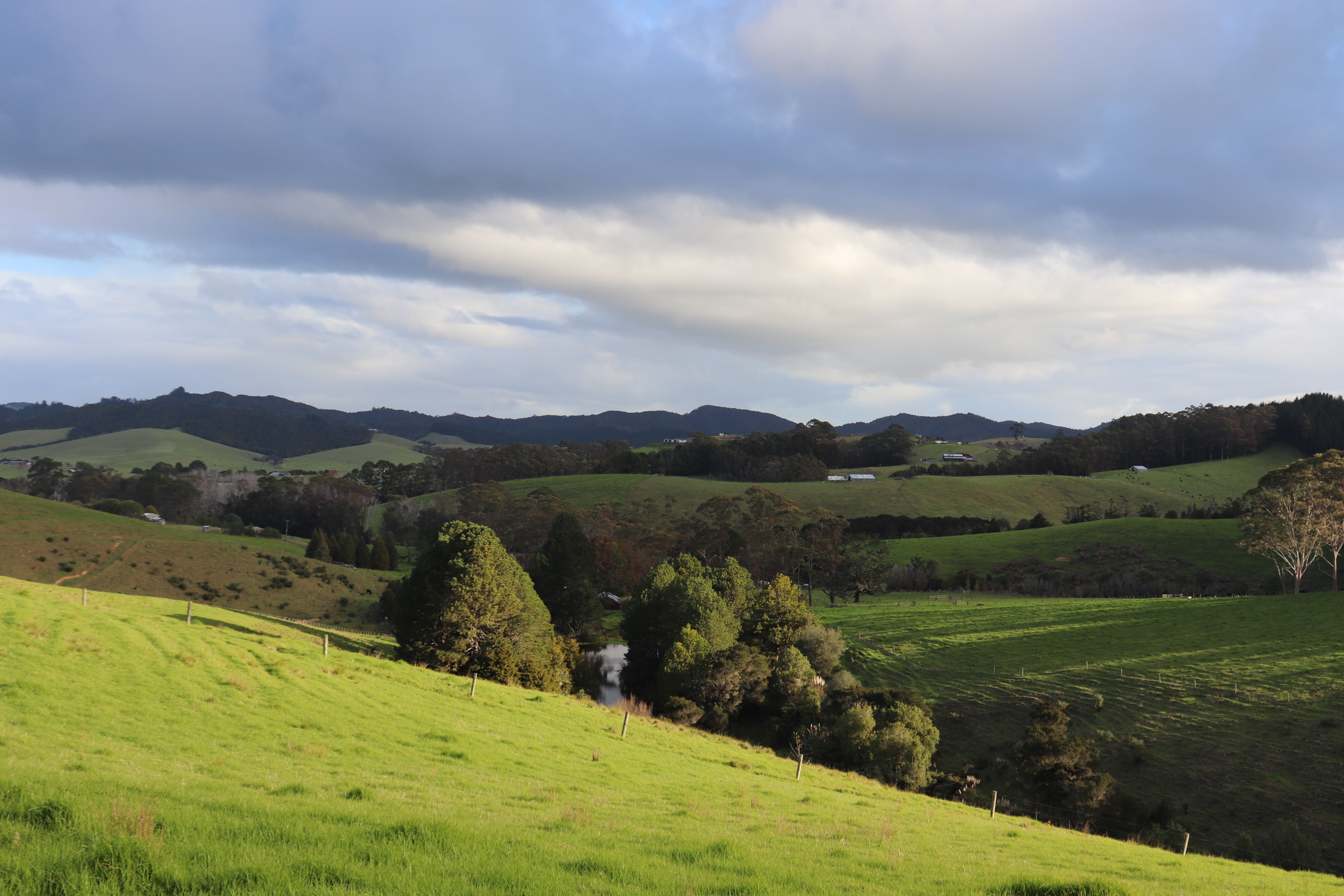 Haruru, New Zealand