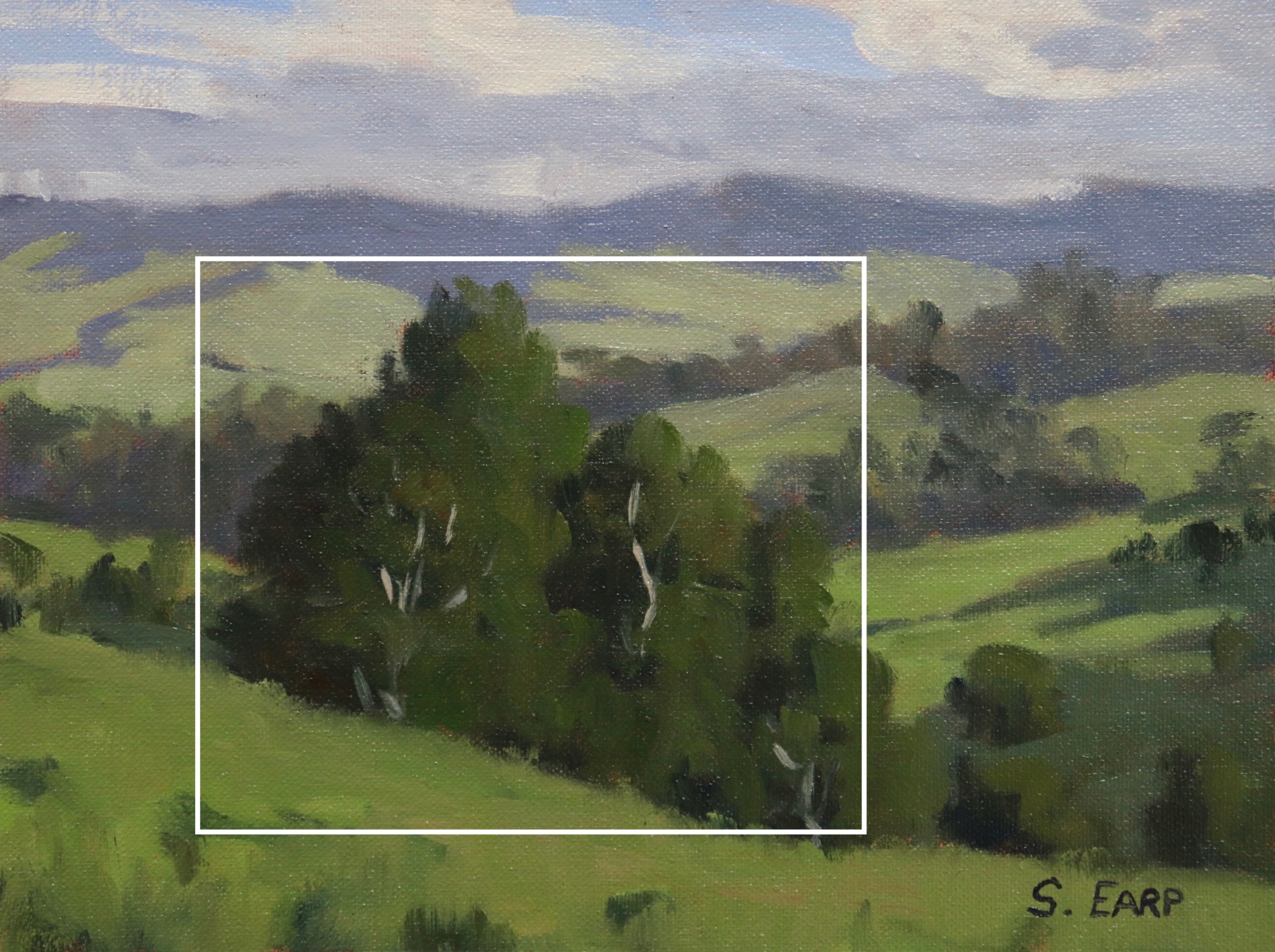 Rolling Hills Northland - New Zealand - Plein Air - Samuel Earp copy.jpeg