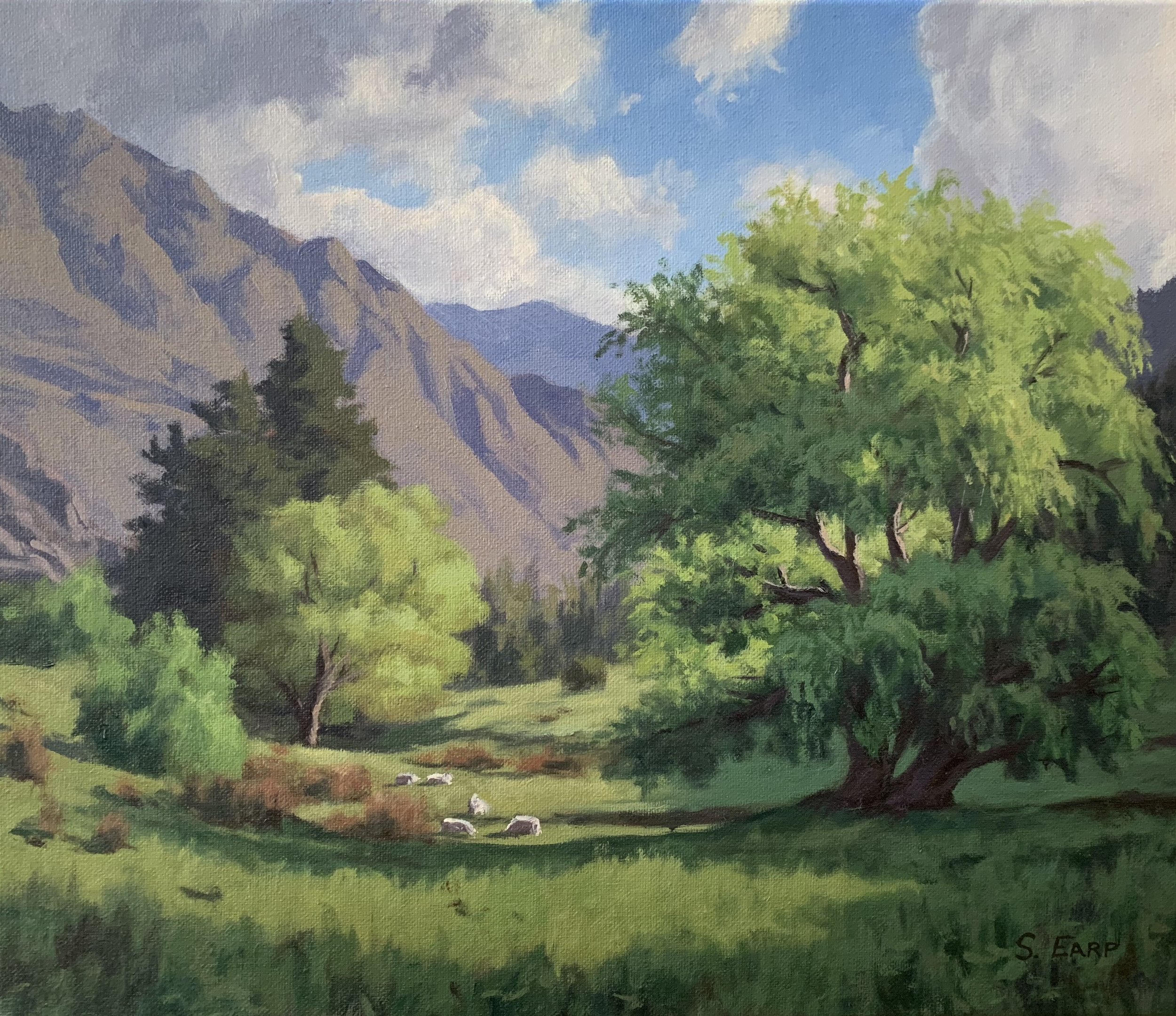 Willow Trees and Light - oil painting - Samuel Earp - landscape artist.jpg